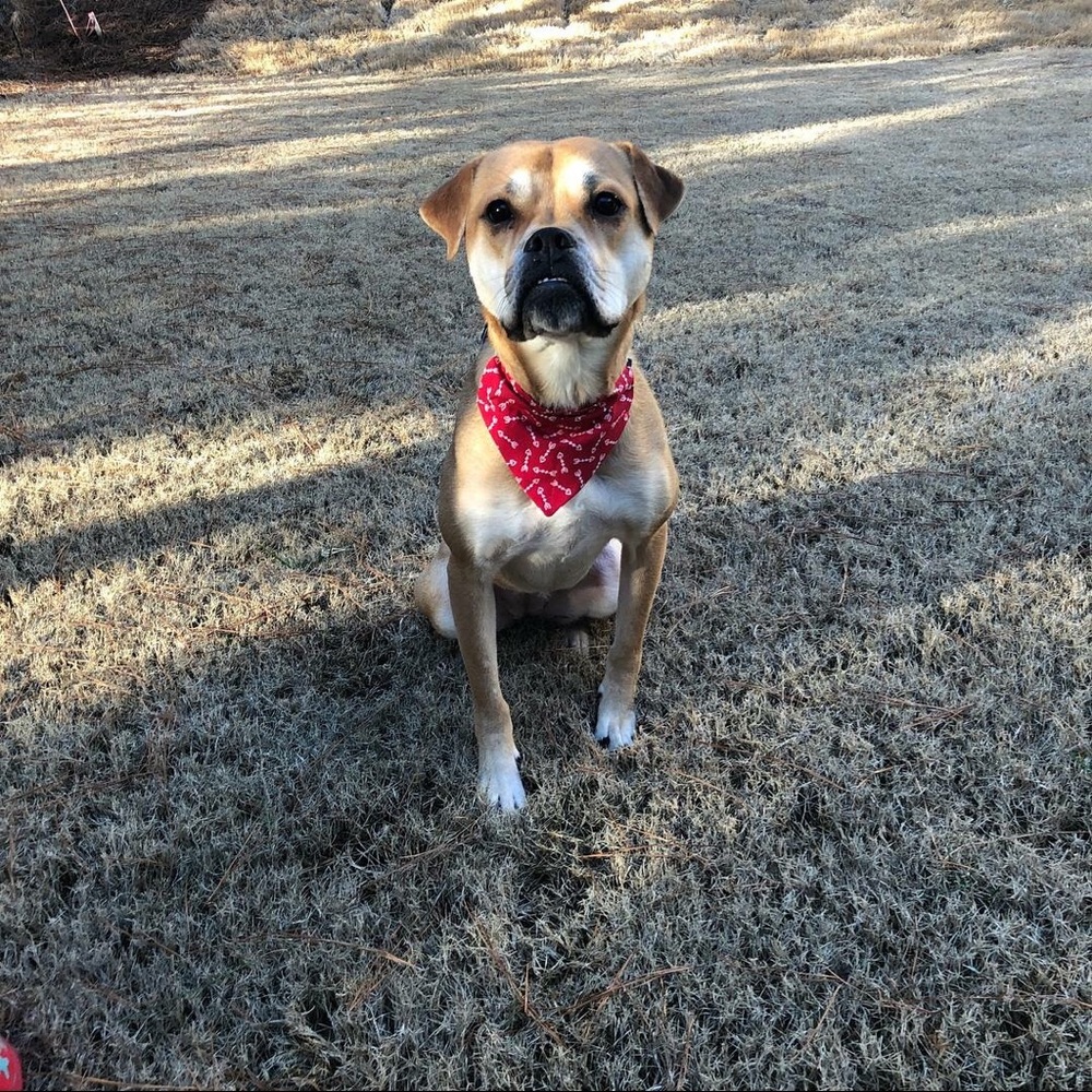 ✨Meet your Posher, Sheri✨